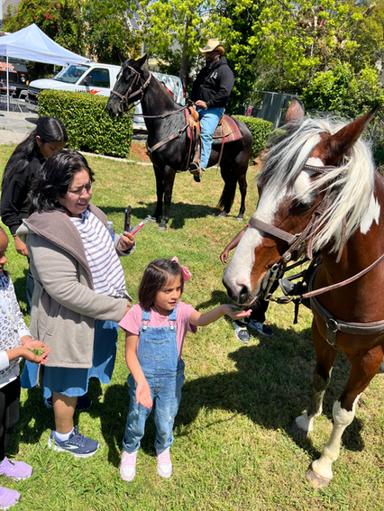 Children petting horses in a sunny park.